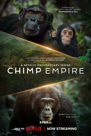 Империя шимпанзе 1 сезон 4 серия