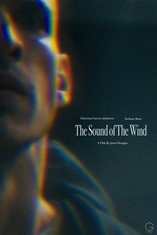 Звук ветра (2020)